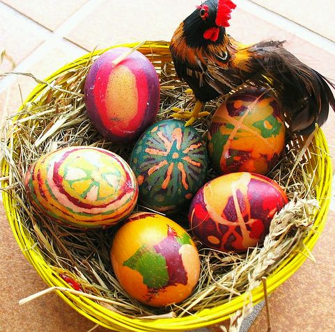 Krizantém: ha ezekre figyelsz, tele lesz virággal