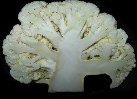 Sült karfiolos korongok