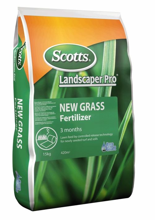 Krizantém: ha ezekre figyelsz, tele lesz virággal