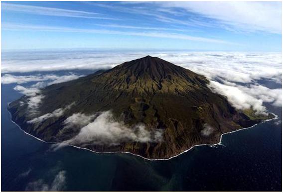 Krizantém: ha ezekre figyelsz, tele lesz virággal