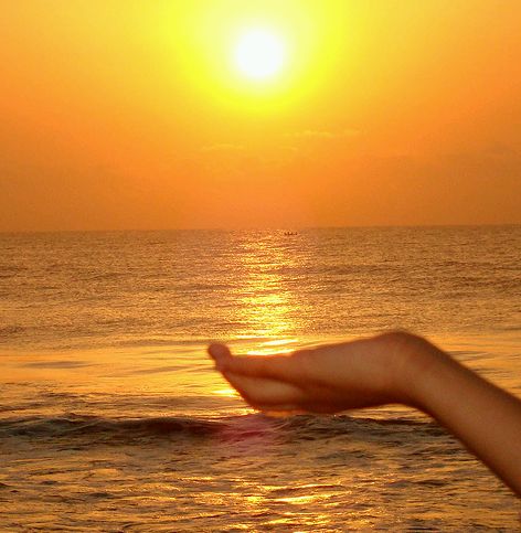 Krizantém: ha ezekre figyelsz, tele lesz virággal