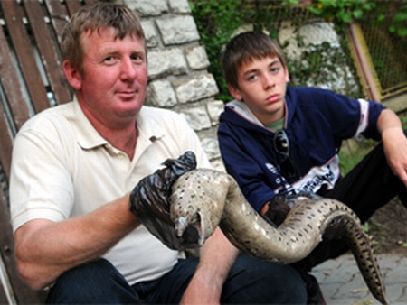 Tengeri halszörnyet fogtak a Sióban