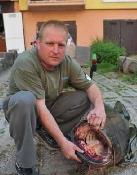 Gigantikus méretű harcsát fogtak