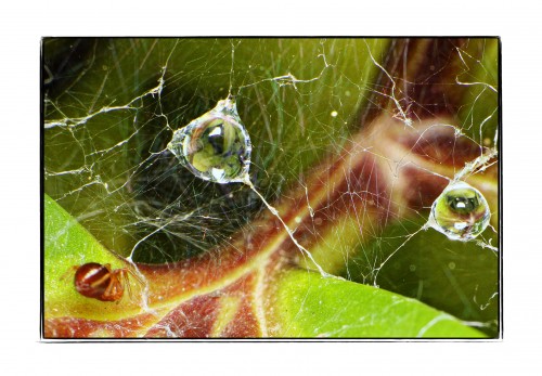 Az Édenkert legszebb természet fotói - 1. rész