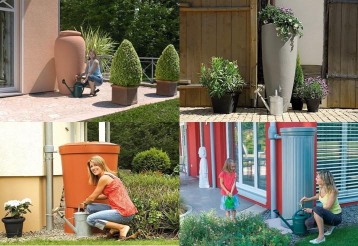 Krizantém: ha ezekre figyelsz, tele lesz virággal