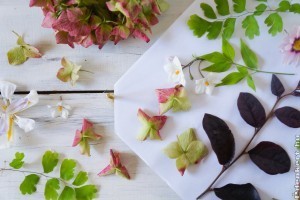 Anyák napi ajándék préselt virágokból: ennyire egyszerű