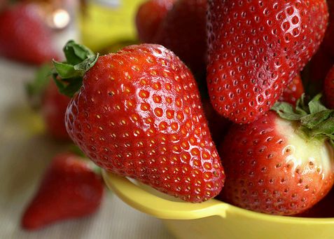 Krizantém: ha ezekre figyelsz, tele lesz virággal