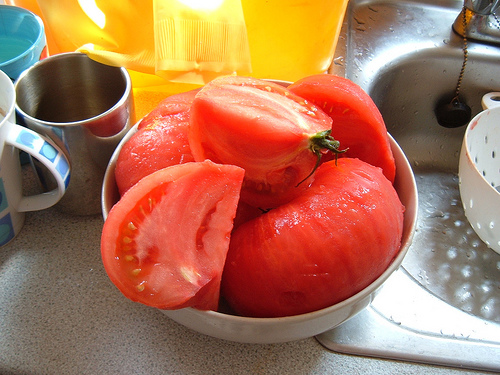 Krizantém: ha ezekre figyelsz, tele lesz virággal