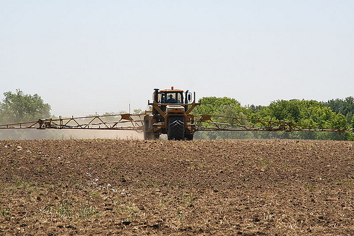 Hogyan tápláljuk a virágokat?