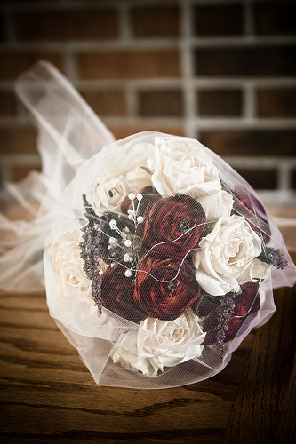 Krizantém: ha ezekre figyelsz, tele lesz virággal