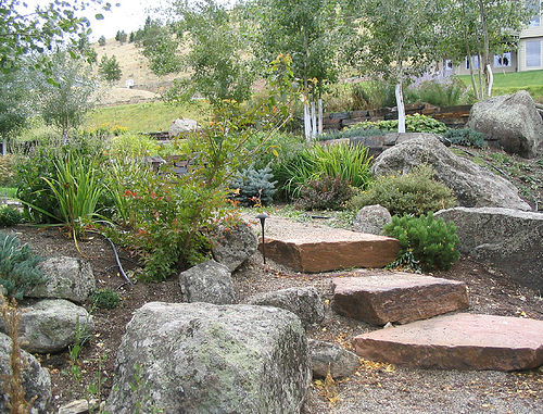 Krizantém: ha ezekre figyelsz, tele lesz virággal