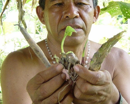 Hogyan tisztítsuk meg testünket - lelkünket ősi sámáni módszerrel? 1. rész
