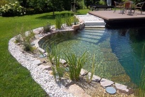 Biomedence, fürdőtó vagy hagyományos medence? Mikor, melyiket válasszuk