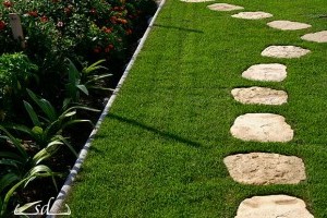 Nyári kertépítés