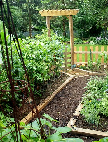 Krizantém: ha ezekre figyelsz, tele lesz virággal