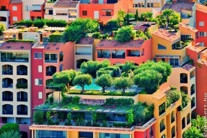 Miért és mire jó a zöldtető?