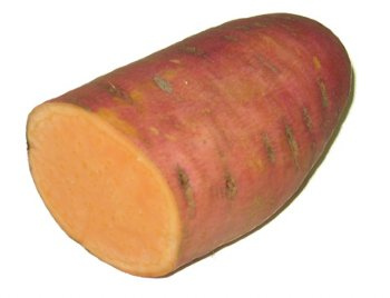 Termesszünk csicsókát!