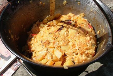 Krizantém: ha ezekre figyelsz, tele lesz virággal