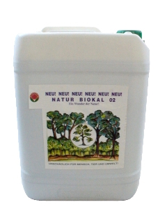 Krizantém: ha ezekre figyelsz, tele lesz virággal