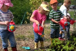 Hogyan építsünk pizza-kertet, pillangó-kertet a gyermekünknek?