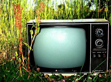 Gyakrabban káromkodnak a televízióban?