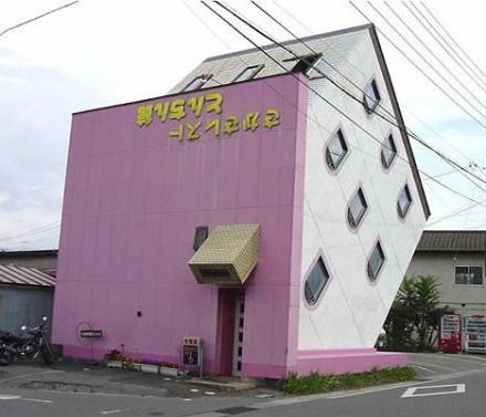 Krizantém: ha ezekre figyelsz, tele lesz virággal