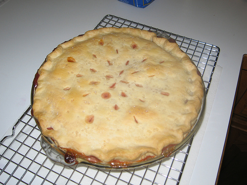 Krizantém: ha ezekre figyelsz, tele lesz virággal