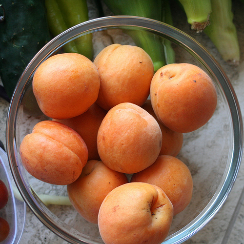 Krizantém: ha ezekre figyelsz, tele lesz virággal