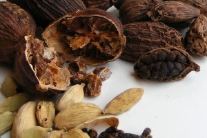 Hogyan gondozzuk az Amomum fűszernövényeket?