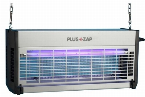 Krizantém: ha ezekre figyelsz, tele lesz virággal