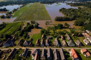 Hogyan védjük növényeinket a túl sok csapadéktól?
