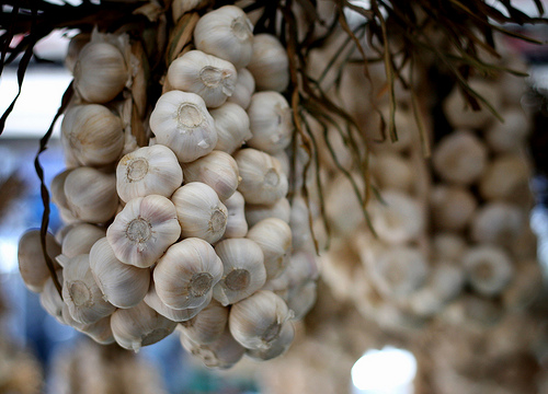 Mennyi tápérték van a fokhagymában? - 1. rész