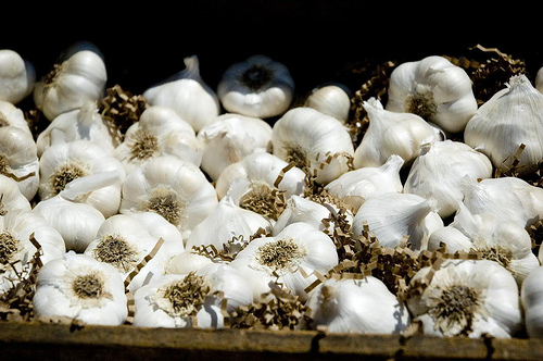 Mennyi tápérték van a fokhagymában? - 2. rész