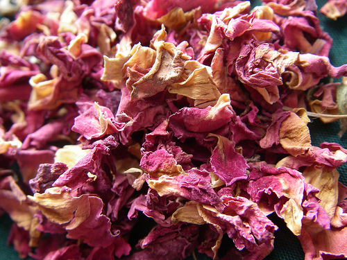 Krizantém: ha ezekre figyelsz, tele lesz virággal