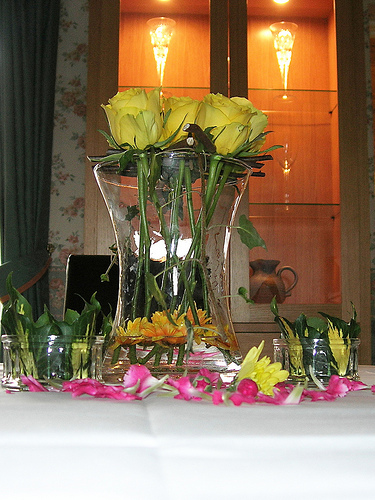 Krizantém: ha ezekre figyelsz, tele lesz virággal