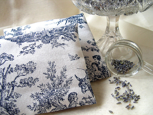 A spanyol levendula (Lavandula stoechas)