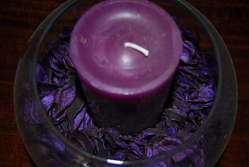 Krizantém: ha ezekre figyelsz, tele lesz virággal