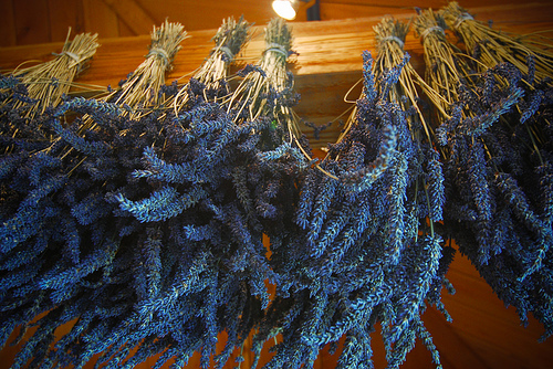 Hogyan használhatjuk fel a sokoldalú levendulát? - 2. rész