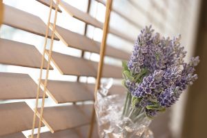 A levendula gyógyászati használata - 1. rész