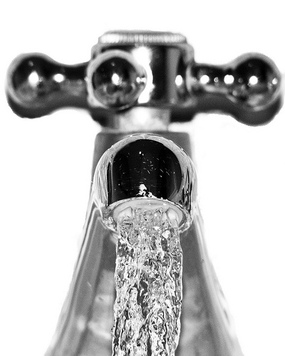 Krizantém: ha ezekre figyelsz, tele lesz virággal