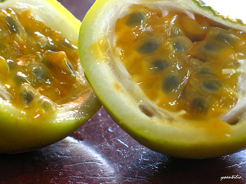 A maracujatermesztés fortélyai - 1. rész