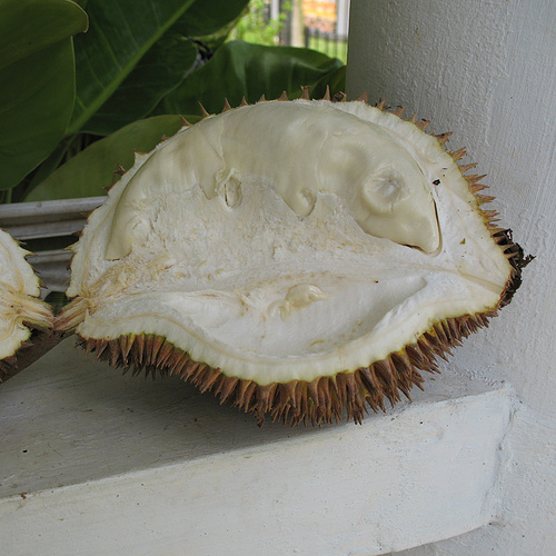 A 10 legegzotikusabb gyümölcs - 1. rész