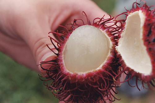 A 10 legegzotikusabb gyümölcs - 2. rész