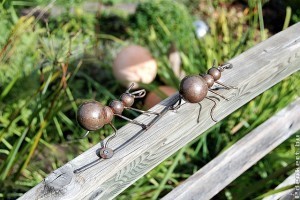 Miért védekezzünk a lóhangyák ellen? 4. rész