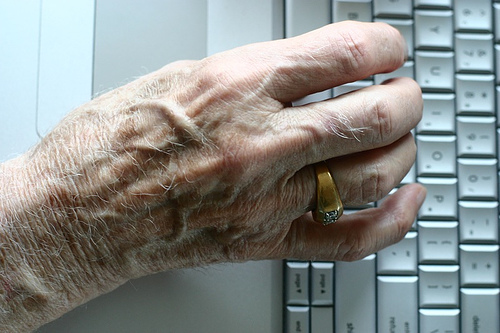 Krizantém: ha ezekre figyelsz, tele lesz virággal