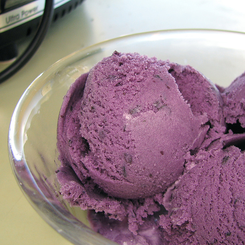 Krizantém: ha ezekre figyelsz, tele lesz virággal