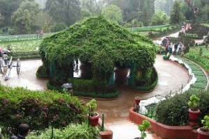 Hogyan alakítsuk ki kertünk szívét?