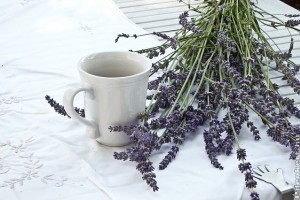 A sokoldalú levendula gyógyhatása