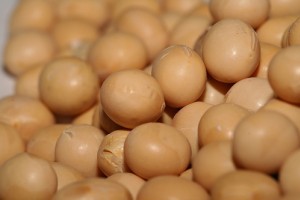 A feldolgozott szója egészségtelen? - 3. rész