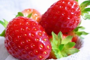 A szamóca termesztése - 2. rész